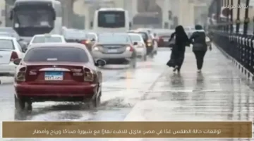 طقس مصر غدًا: أجواء مائلة للدفء نهارًا مع شبورة ورياح متوقعة وأمطار